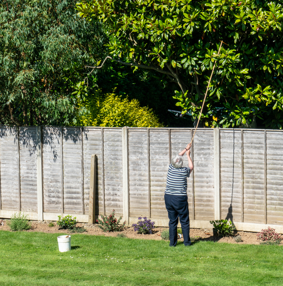 Elderly woman trimming neighbours tree over her property