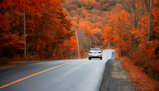 Car driving down a road in the fall.