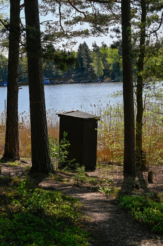 Outhouse in forest near waterfront