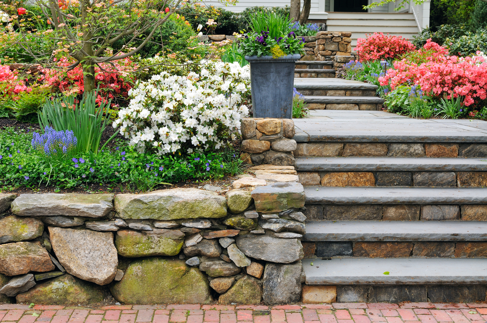 Stone steps and retaining wall with garden