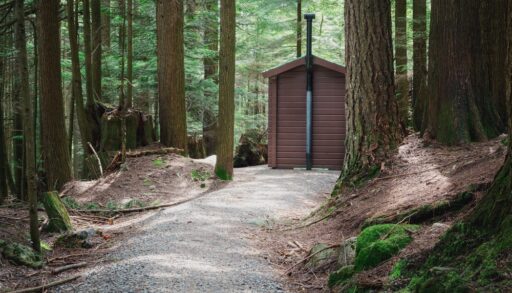 Pathway leading to an outhouse in a thickly-wooded area.