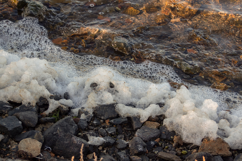 Close-up of foamy water on a lakeshore.