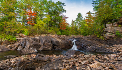Elliot Falls, Norland, Ontario surrounded by green trees.
