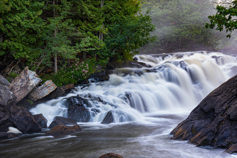 Egan Chute, Ontario surrounded by a green forest.