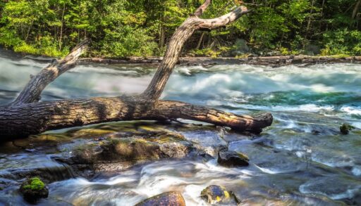 Buttermilk Falls, Ontario on a sunny day.