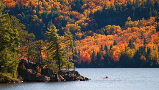 Algonquin Park