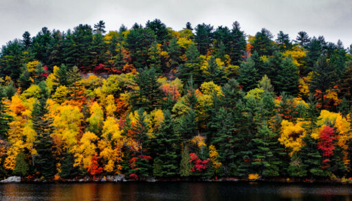 Haliburton Forest and Wild Life Reserve in the fall.