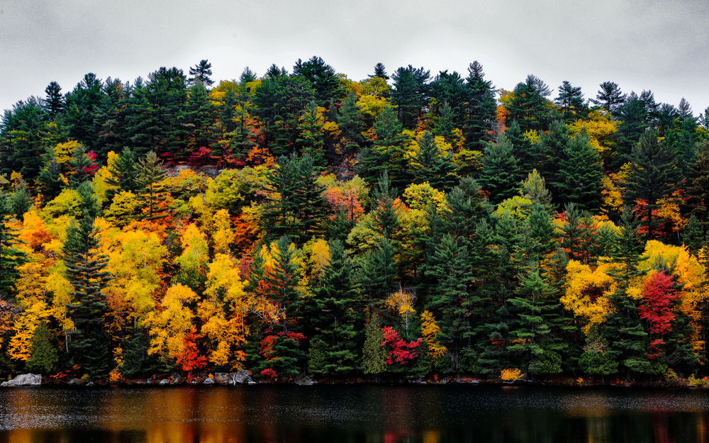 Haliburton Forest and Wild Life Reserve in the fall.