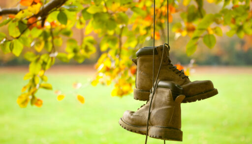 Pair of boots hanging from a tree branch in autumn.
