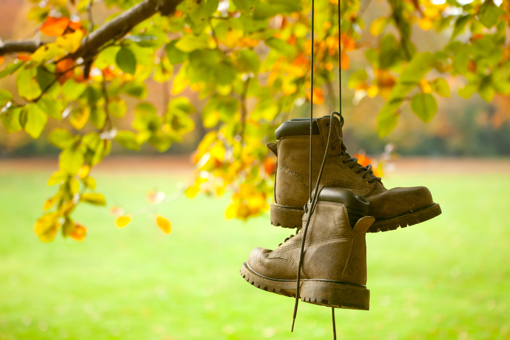 Pair of boots hanging from a tree branch in autumn.
