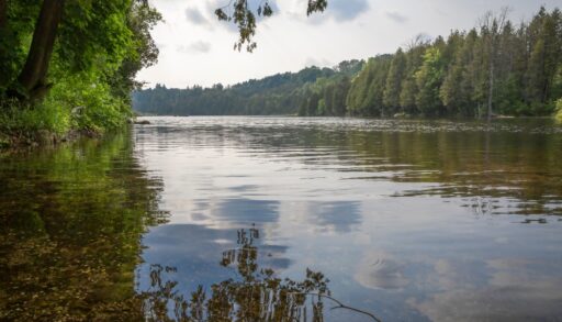View of the Saugeen River, Ontario on a sunny afternoon.
