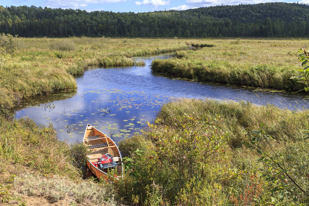Canoe on the shoreline of Madawaska Lake, Ontario.