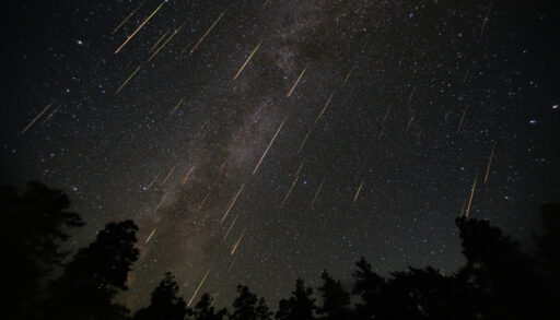 Perseid meteor shower. Dark night sky with stars and silhouettes of trees.