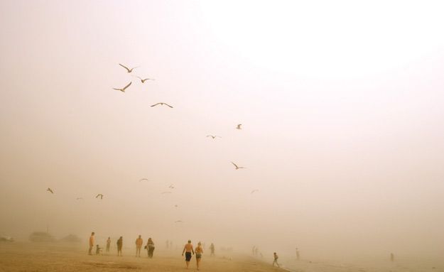 Life's a foggy beach