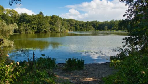 View of a lake in Bakkum, Netherlands.