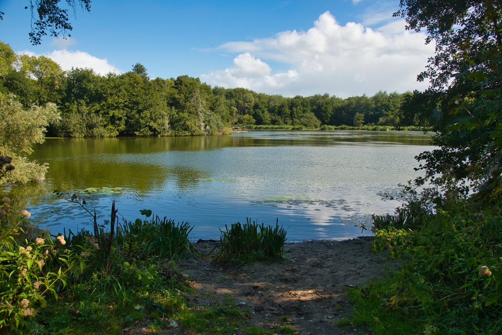 View of a lake in Bakkum, Netherlands.