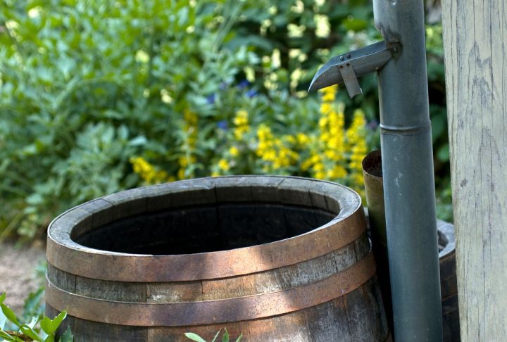 Rain barrel