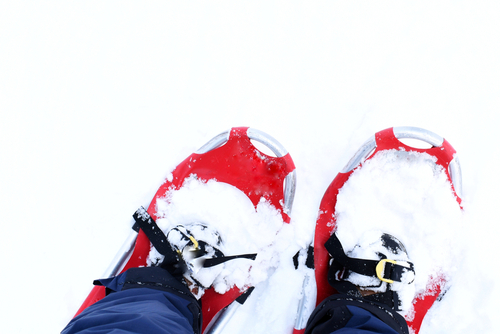 Overhead view of red snowshoes in the snow.