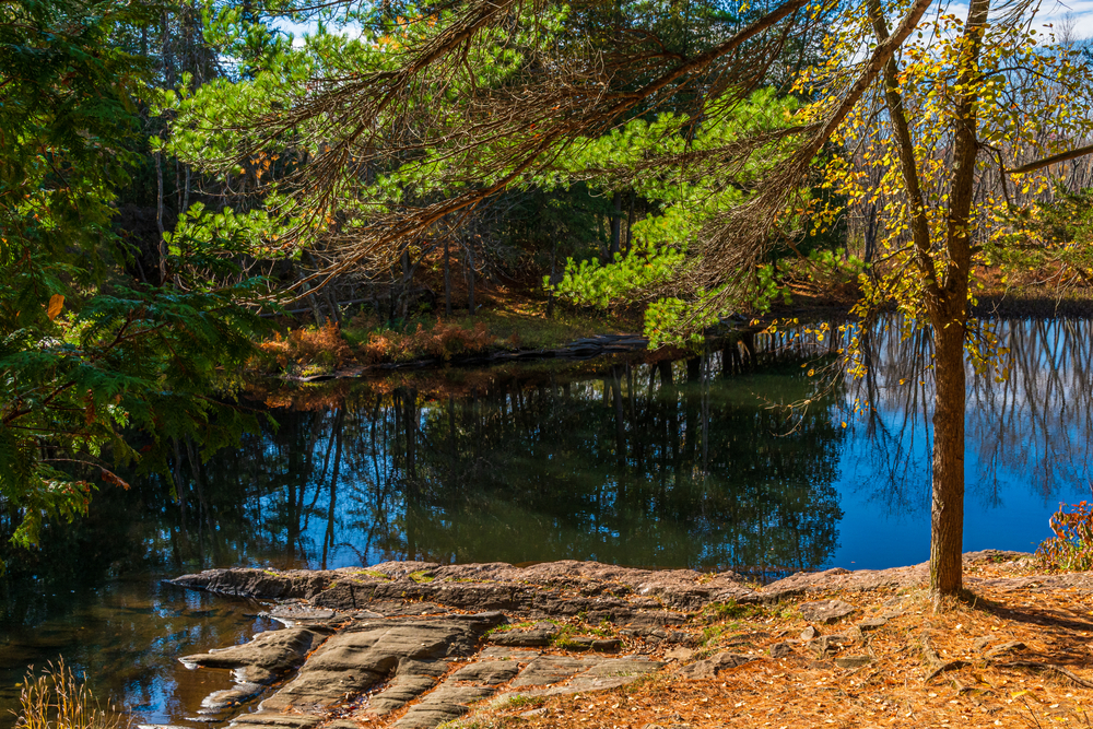 Eels Creek in Petroglyphs Provincial Park on a sunny day.