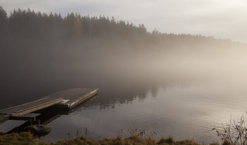 Misty lake and dock surrounded by trees.