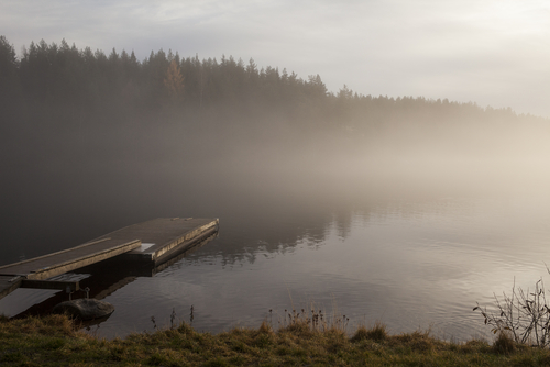 Misty lake and dock surrounded by trees.