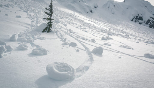 Curled snow on a hill next to a pine tree.