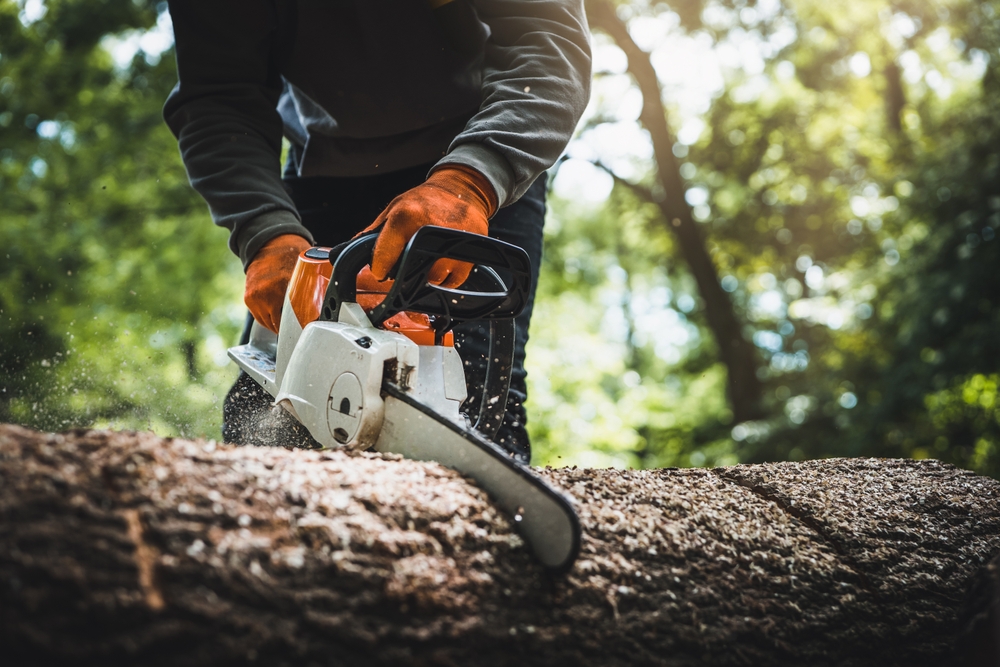 Person using a chainsaw to cut a log in a forest.