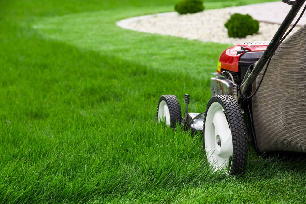 Close-up of a lawnmower cutting the grass.