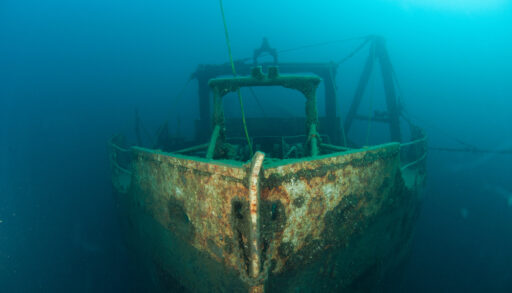 Underwater view of the shipwreck Niagara II in Tobermory.