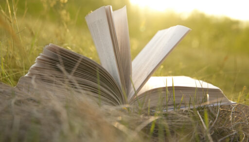 Open book lying in the grass.