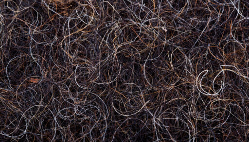 Close-up of the texture of a horsehair mattress.