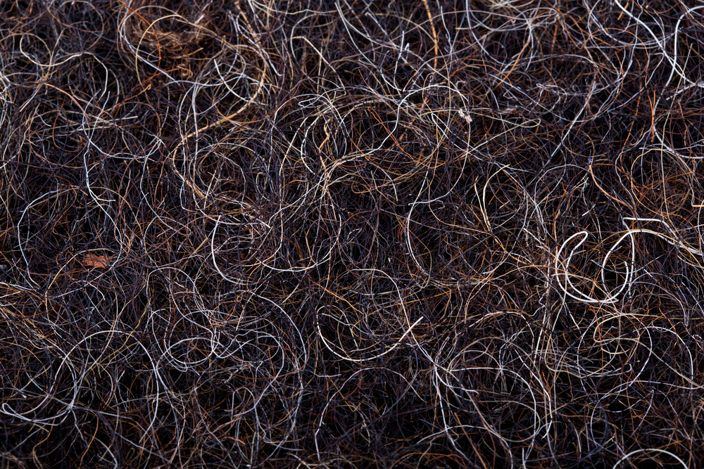 Close-up of the texture of a horsehair mattress.