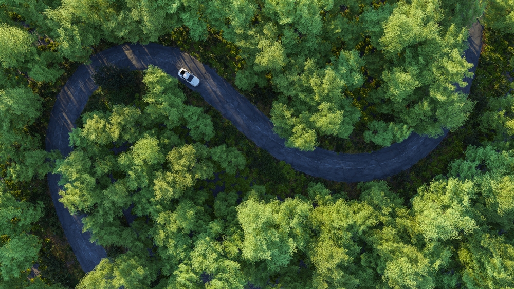 Overhead view of a car driving on a road in a forest.