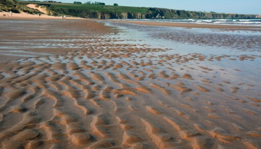 Beach at low tide.