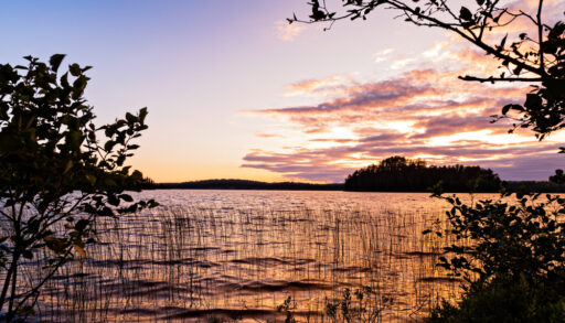 Sunset on a lake surrounded by silhouettes of trees.