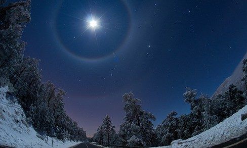 Night sky with a bright star above a wintry forest.
