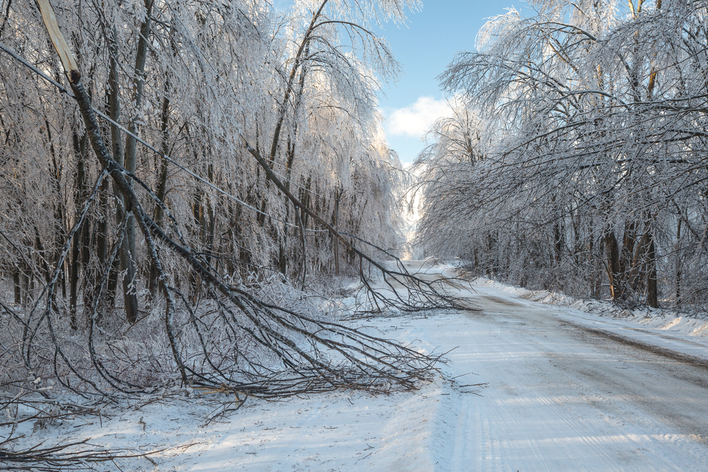 Aftermath of a winter ice storm on a road.
