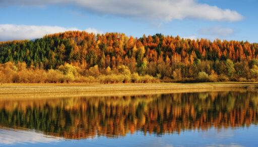 Autumn forest landscape reflected on a still lake.