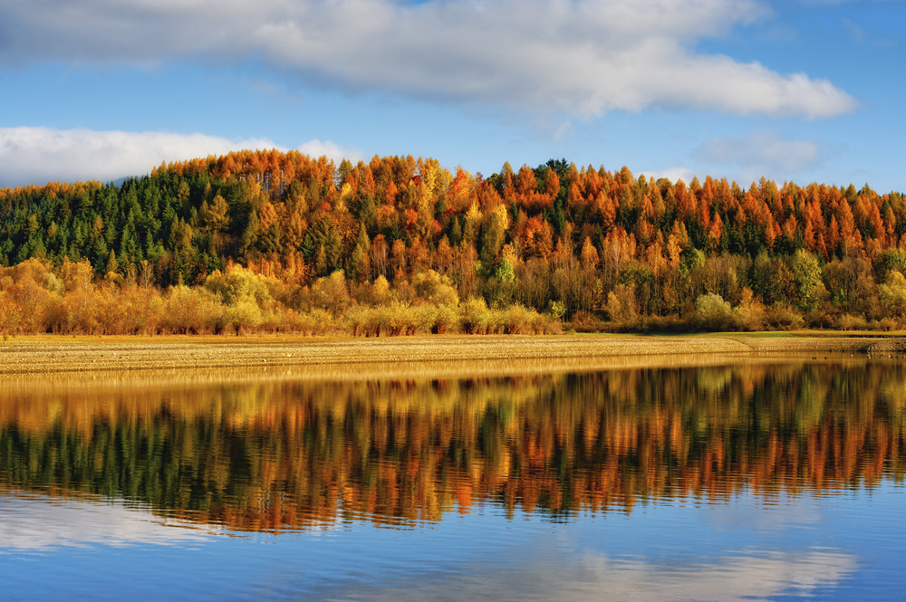 Autumn forest landscape reflected on a still lake.