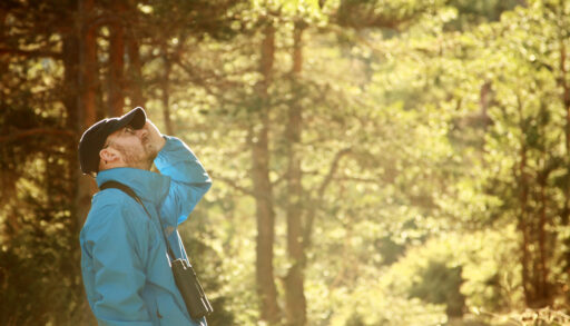 Man in a blue jacket watching for birds in a forest early in the morning.