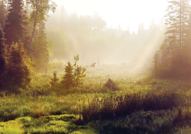 Landscapes 2nd Place