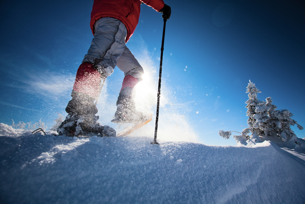 Close-up of a person's feet while wearing snowshoes and walking in the snow.