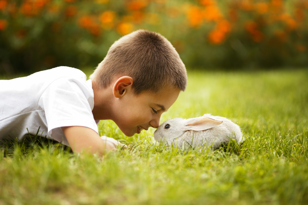 Portrait of a boy laying in the grass pressing his nose to a white rabbit's nose.