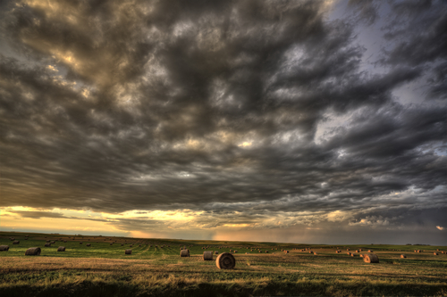 Storm clouds with sunlight shining through over a field of haybales in Saskatchewan, Canada.