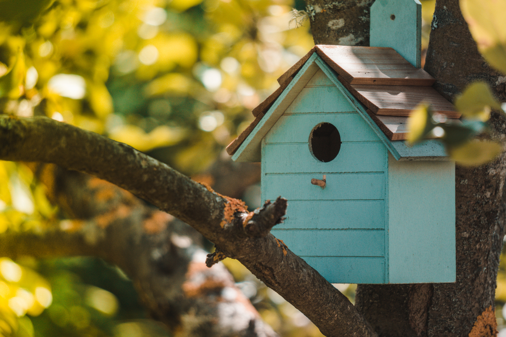 Turquoise-coloured bird house attached to a tree with green leaves.