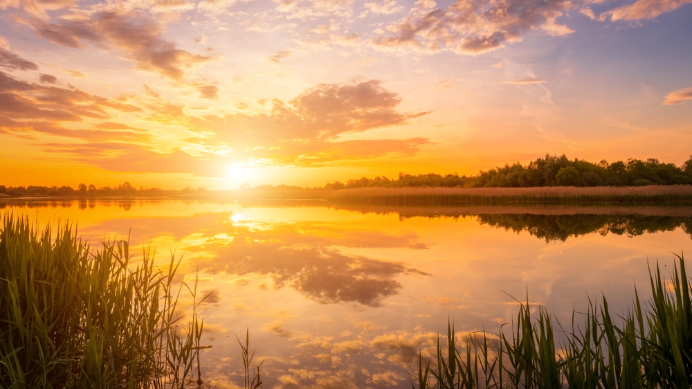 Sunset over a lake surrounded by trees and tall grasses.