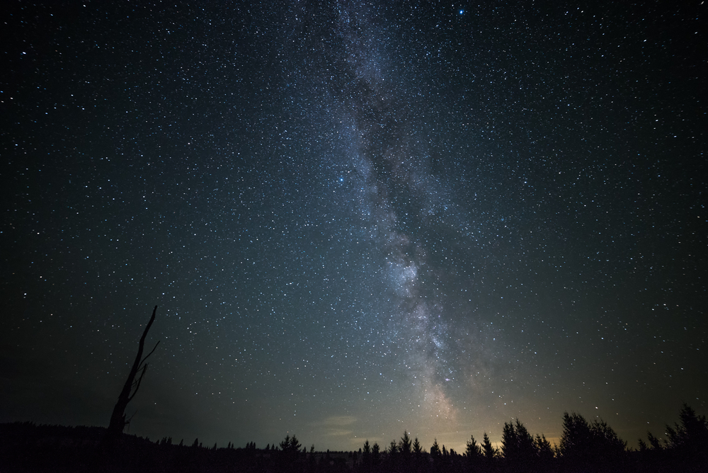 Dark night sky illuminated by the Milky Way, surrounded by silhouettes of trees.