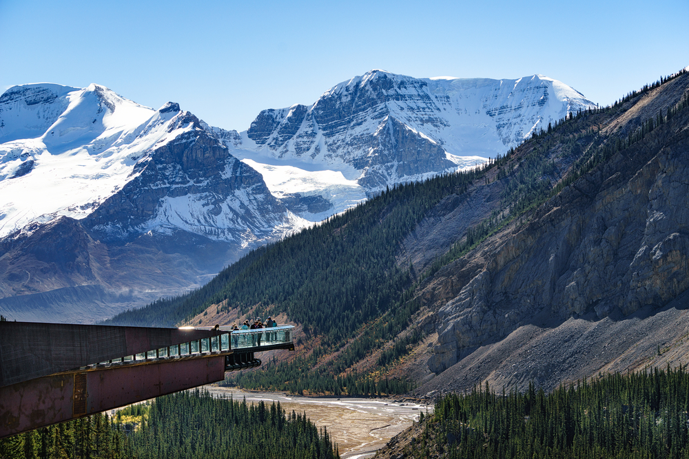View of the Glacier Skywalk in Jasper National Park surrounded by mountains and trees.