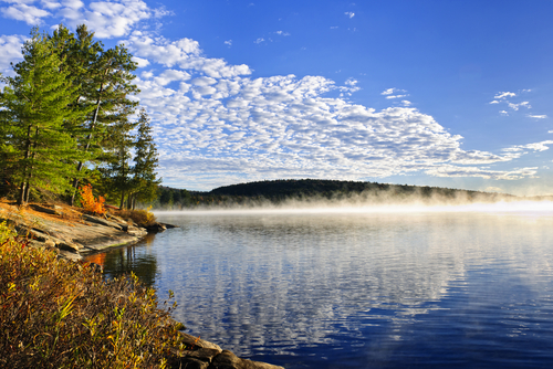 Fog hanging over the Lake of Two Rivers in Algonquin National Park, Ontario, Canada.