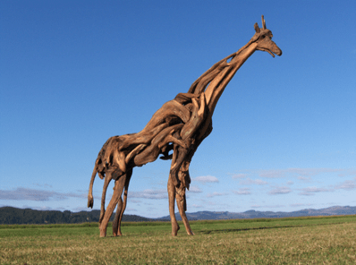 Driftwood giraffe